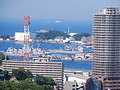 横須賀本港