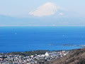 湘南国際村から望む富士山